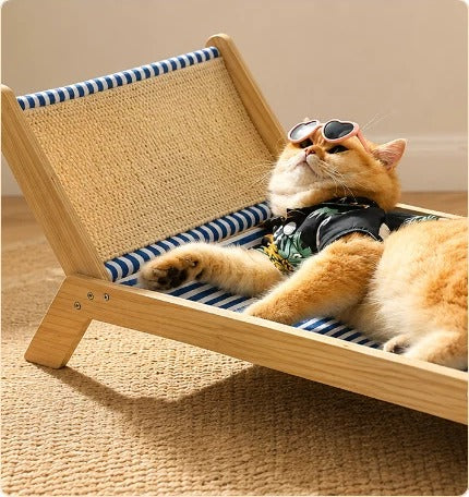 Kat op houten lounge chair - Huisdier mobiel